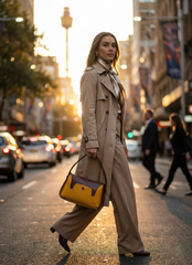 Nisa Duo: Mustard & Mocha Structured Hand Bag Set