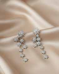 Women's Premium American Diamond Earrings.