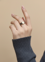 Stainless Steel Clover Ring