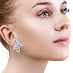 Women's Premium American Diamond Earrings.