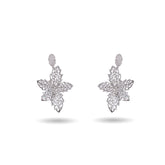 Women's Premium American Diamond Earrings.