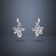 Women's Premium American Diamond Earrings.