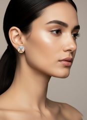 Stainless Steel Stud Earrings Two Tone (Silver / Rose Gold)