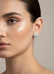 Stainless Steel Stud Earrings Two Tone (Silver / Silver )