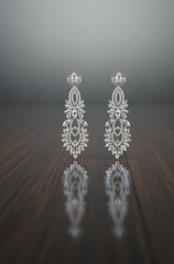 Women's Premium American Diamond Earrings.