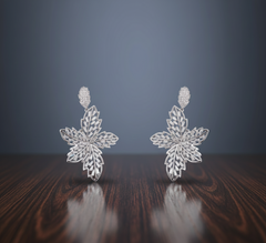 Women's Premium American Diamond Earrings.